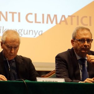 arbovirosi15