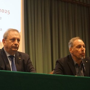 arbovirosi2