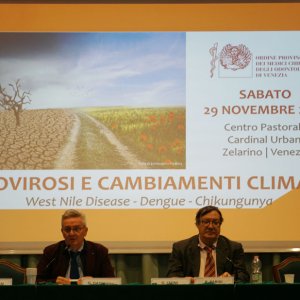 arbovirosi22