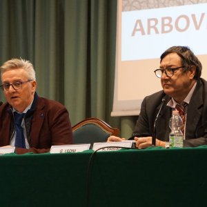 arbovirosi23
