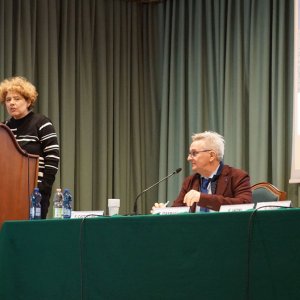arbovirosi24