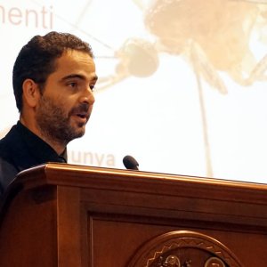 arbovirosi27