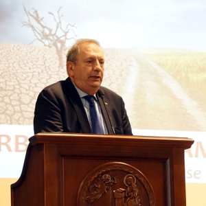 arbovirosi29