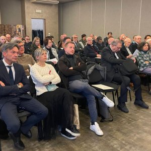 violenzasandona14