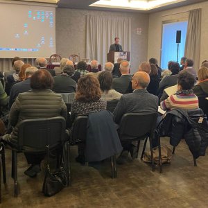 violenzasandona15