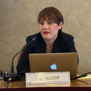 violenzasandona22
