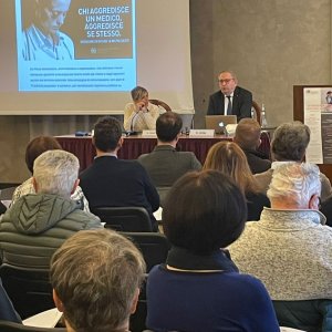 violenzasandona28