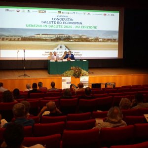 vis25convegno8