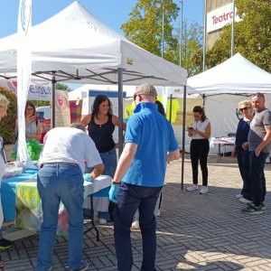 vis25piazza5